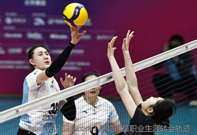 篮球运动员职业生涯规划建议