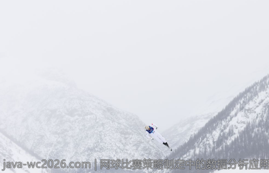 网球比赛策略制定中的数据分析应用