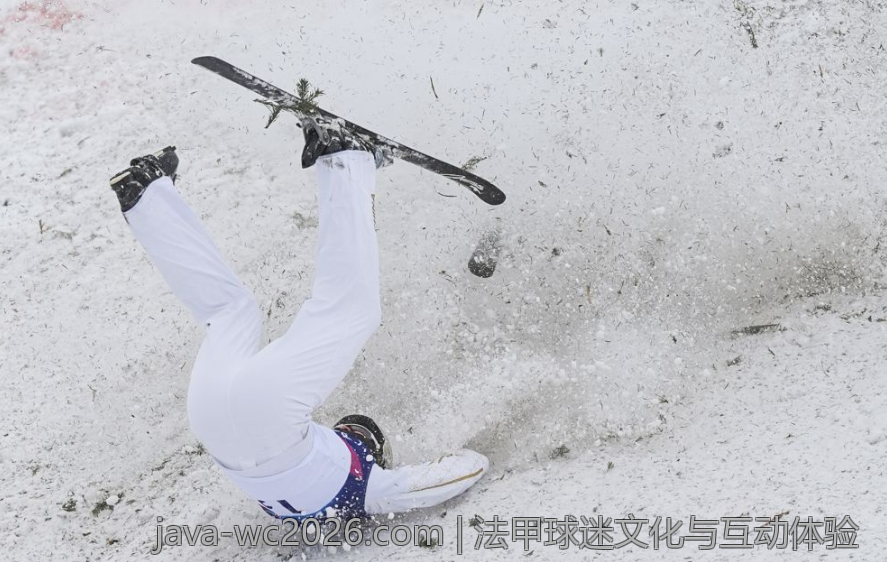 法甲球迷文化与互动体验