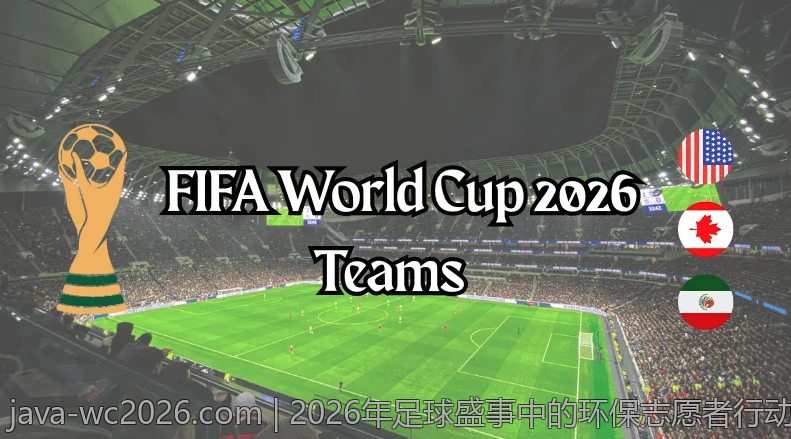 2026年足球盛事中的环保志愿者行动报道
